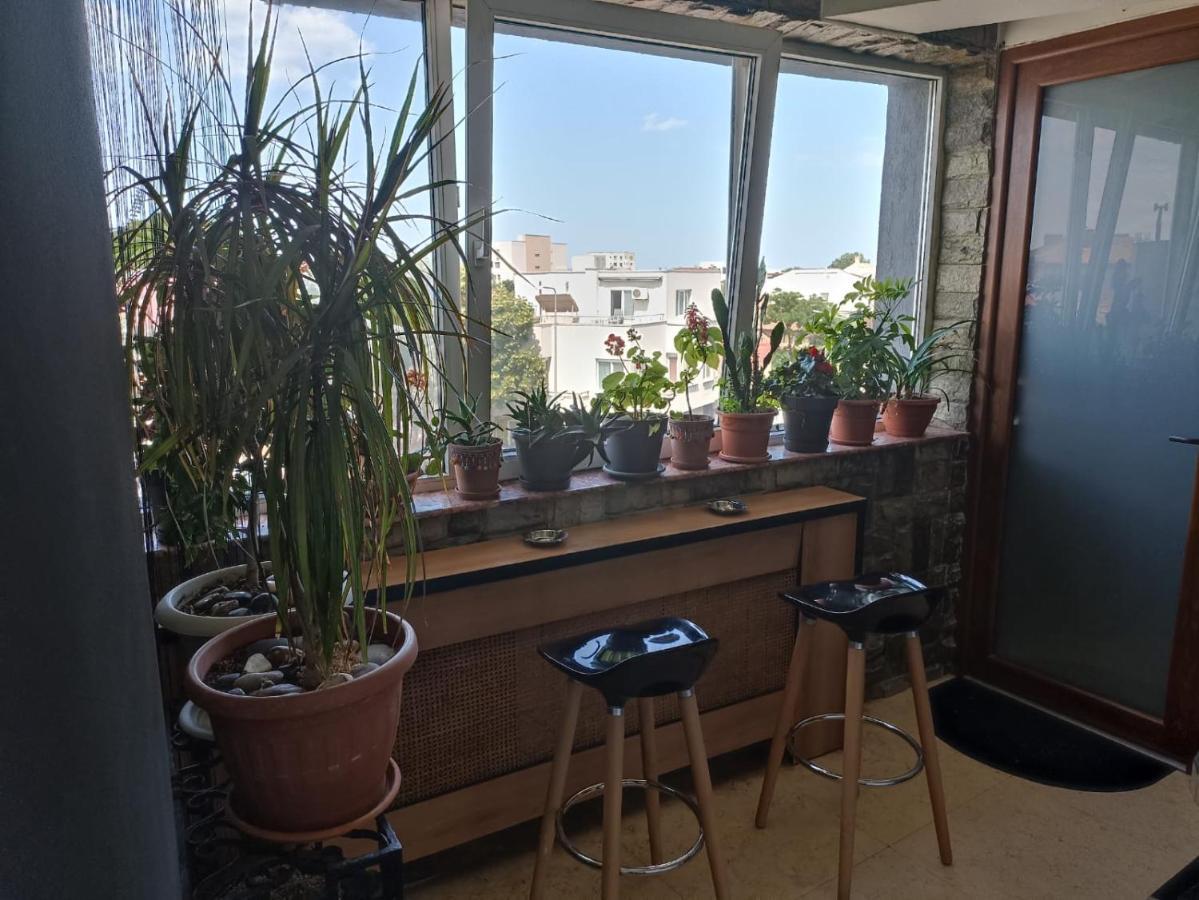 Central Residence 콘스탄차 외부 사진